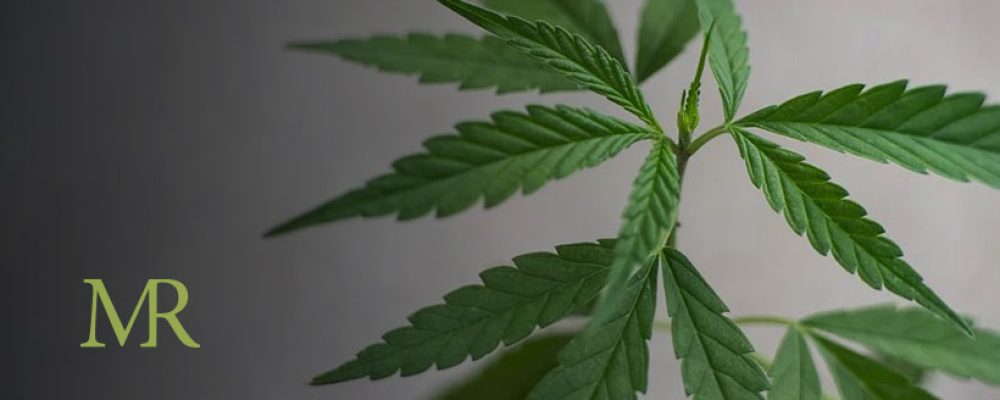 Arkansas Sold $21 Million of Medical Marijuana In First Six Months