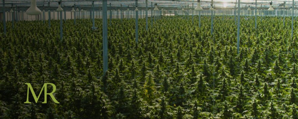 Tilray and Aphria Merge to Become World’s Largest Cannabis Company