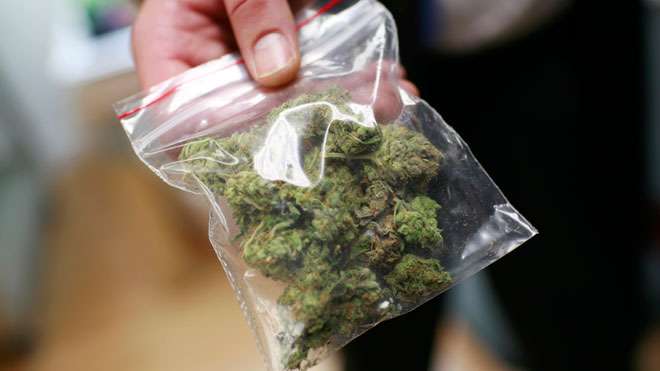 legalization of marijuana opened employment opportunities