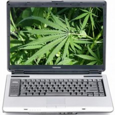 stoners dating site
