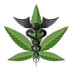 medical side of weed