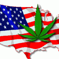 USA Marijuana legalization