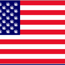 american-flag-pot-stars