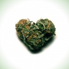 Marijuana Heart