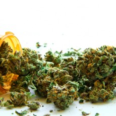 medical marijuana buds