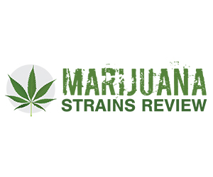 Marijuana Strains Review