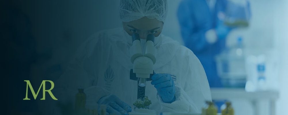 Uruguay Cultivation Firm Targets Global Medical Marijuana Market
