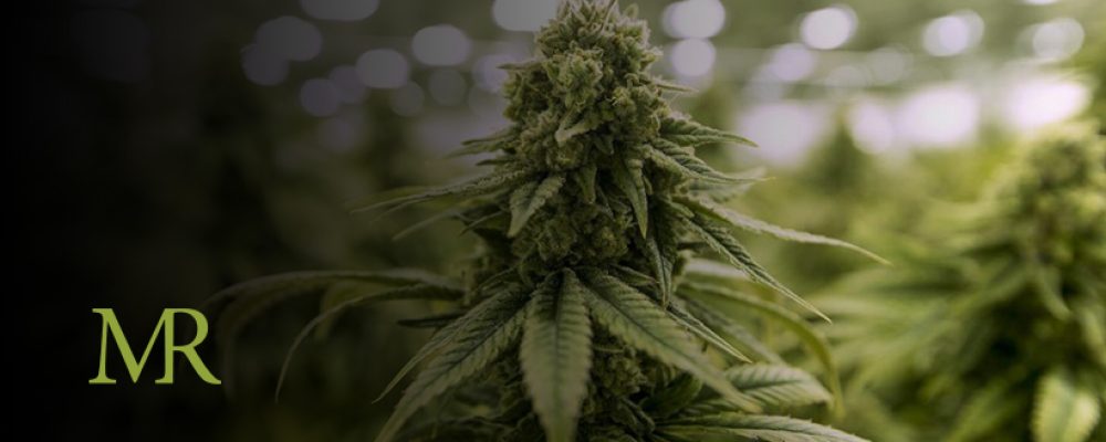 Florida Court Rules Vertical Integration In Marijuana Industry “Unconstitutional”
