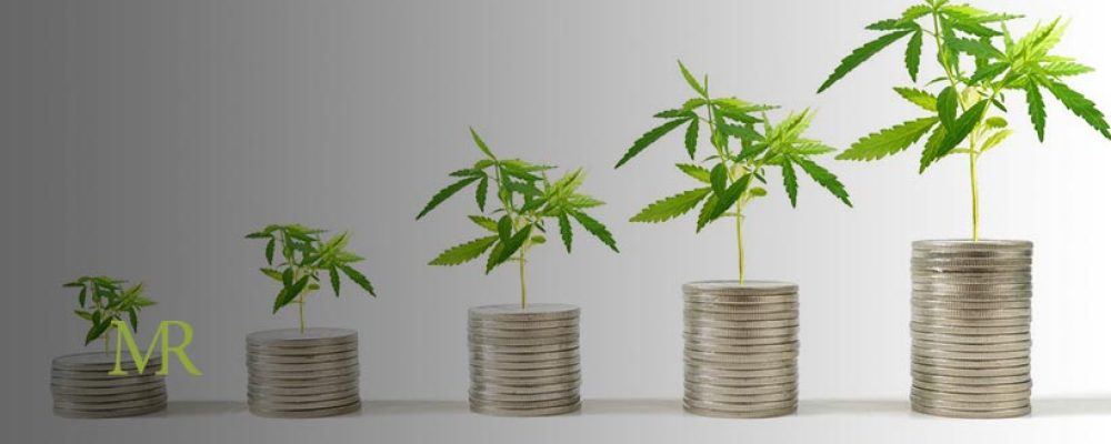 What to Look for When Choosing a Cannabis Accounting Firm