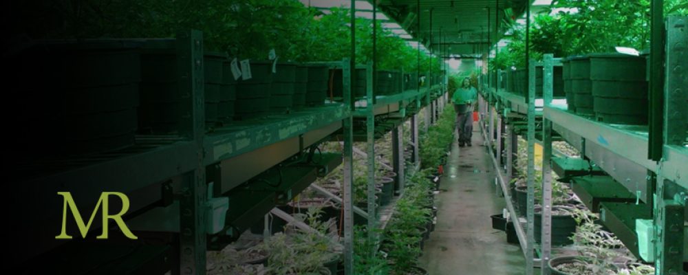 Is Michigan’s Retail Marijuana Industry Being Set Up To Be Dominated By Big Players?