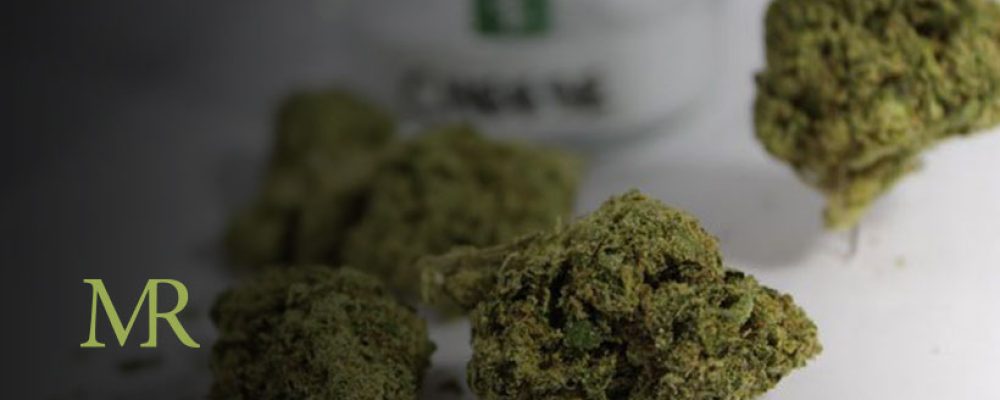 Michigan Begins Taking Applications For Recreational Marijuana Business Licenses