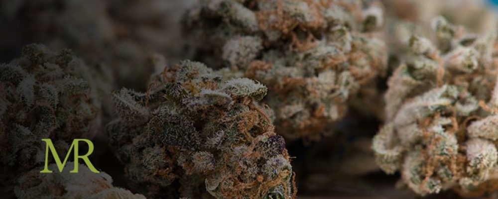 Report: 2020 Cannabis Sales Surpass 2019 Despite Pandemic