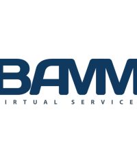 BAMM Virtual Services LLC