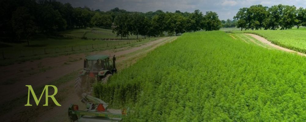 USDA Report Highlights Challenges Hampering Hemp Industry Growth